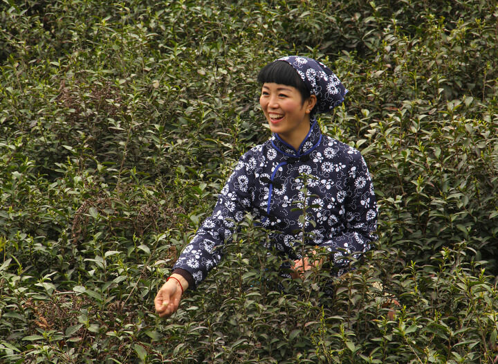 热门短剧4
